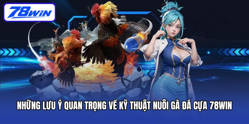 Những lưu ý quan trọng về kỹ thuật nuôi gà đá cựa 78Win