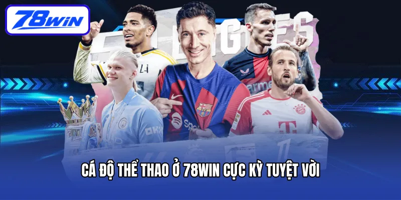 Cá độ thể thao ở 78win cực kỳ tuyệt vời