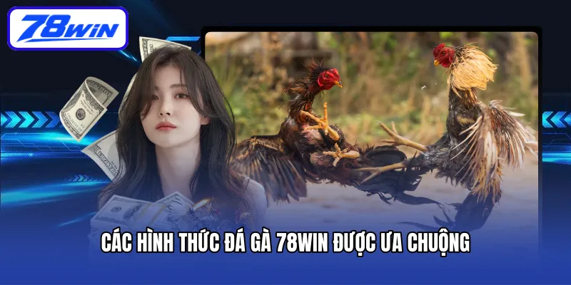 Các hình thức đá gà 78win được ưa chuộng