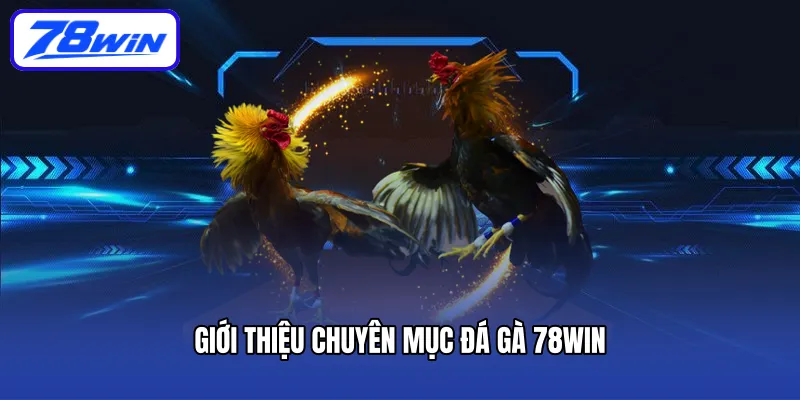 Giới thiệu chuyên mục đá gà 78win
