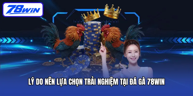 Lý do nên lựa chọn trải nghiệm tại đá gà 78win
